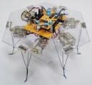 ameba robot